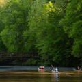 Discovering the Water Sports Scene in Stafford, Virginia