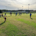 The True Cost of Joining a Sports League in Stafford, Virginia