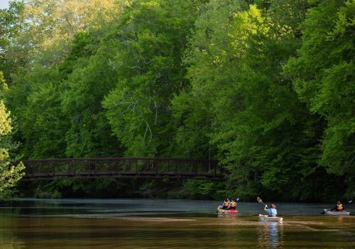 Discovering the Water Sports Scene in Stafford, Virginia